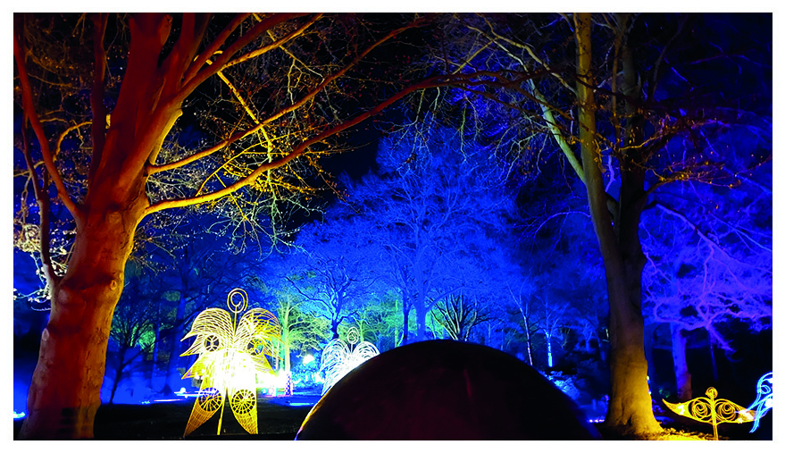 Lichter im Bremer Rhododendronpark